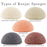 Konjac Sponge | Organic Vegetable Fiber, Pack of 5