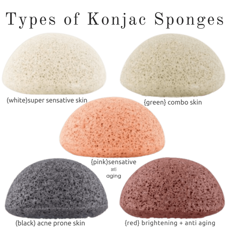 Konjac Sponge | Organic Vegetable Fiber, Pack of 5 - Image 1