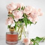 HELLO CUTIE, Our Version of HELLO KITTY, 3.4 Fl.Oz - Image 5