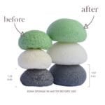 Konjac Sponge | Organic Vegetable Fiber, Pack of 5 - Image 2