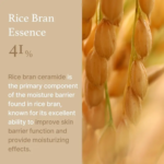 CVC Rice Raw Pulp Face Cream, 50g - Image 2