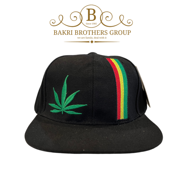 Vibrant Stripe Leaf Embroidered Cap