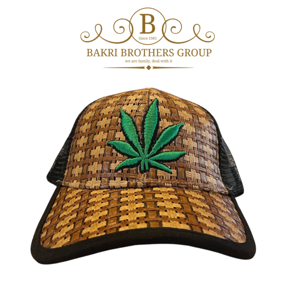 Woven Texture Leaf Embroidered Cap