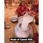CNDK Camel Milk Cactus Moisturizer Cream, 60g - Image 6